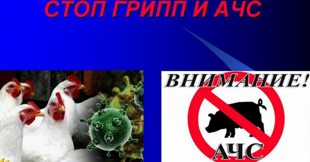 Без АЧС и ВГП.